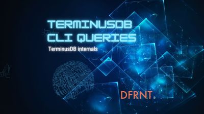 terminusdb-cli-internals.jpg